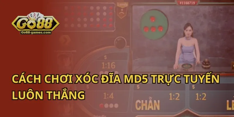 Cách Chơi Xóc Đĩa MD5 Trực Tuyến Luôn Thắng